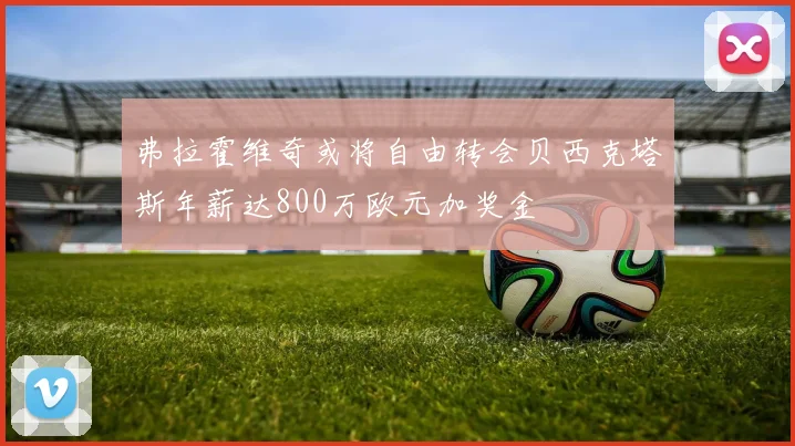 弗拉霍维奇或将自由转会贝西克塔斯年薪达800万欧元加奖金