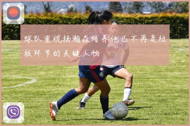 球队重视杨瀚森培养他已不再是短板环节的关键人物